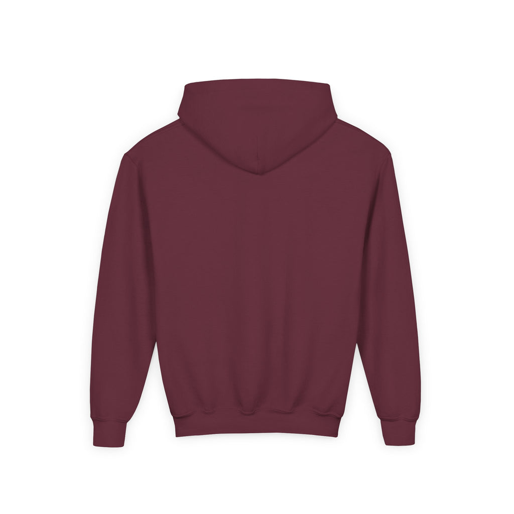 Shelburne falls - Massachusetts Youth Hoodie