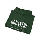 Rodanthe Unisex Heavy Blend™ Hooded Sweatshirt