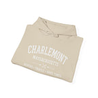 Charlemont-A Few Good Days Unisex Heavy Blend™ Hooded Sweatshirt