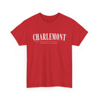 Charlemont T-Shirt — Vintage Collegiate River Town Tee