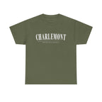 Charlemont T-Shirt — Vintage Collegiate River Town Tee