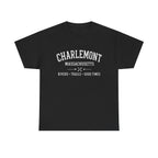 Charlemont T-Shirt — Vintage Collegiate River Town Tee