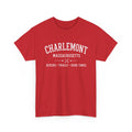Charlemont T-Shirt — Vintage Collegiate River Town Tee