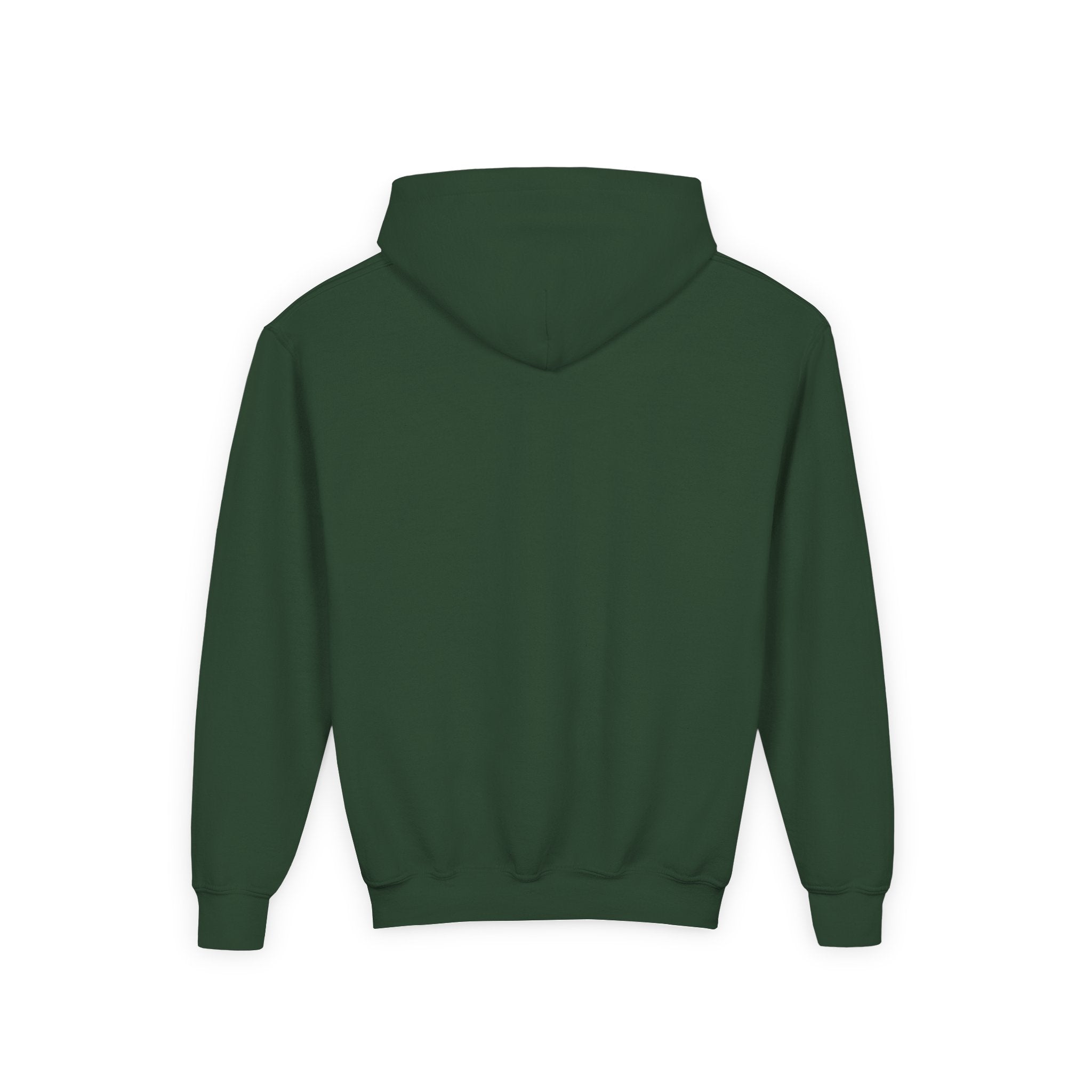 Dover Southern Vermont Youth Hoodie