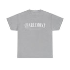 Charlemont T-Shirt — Vintage Collegiate River Town Tee