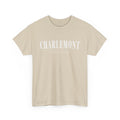 Charlemont T-Shirt — Vintage Collegiate River Town Tee