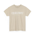 Charlemont T-Shirt — Vintage Collegiate River Town Tee