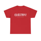 Charlemont T-Shirt — Vintage Collegiate River Town Tee