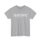 Charlemont T-Shirt — Vintage Collegiate River Town Tee