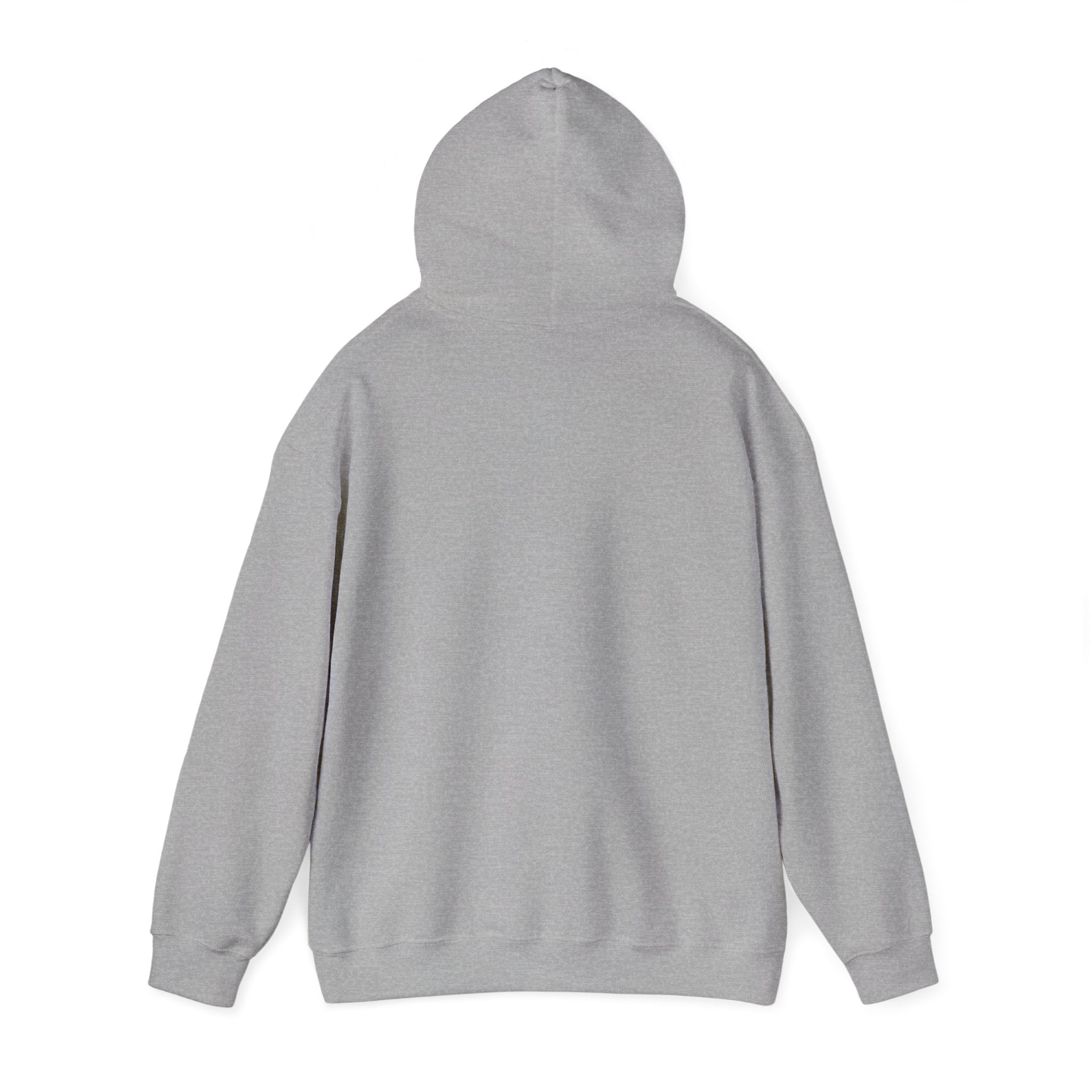 OBX Outer Banks Unisex Heavy Blend™ Hooded Sweatshirt