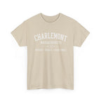Charlemont T-Shirt — Vintage Collegiate River Town Tee