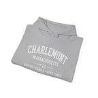 Charlemont-A Few Good Days Unisex Heavy Blend™ Hooded Sweatshirt