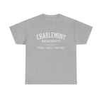 Charlemont T-Shirt — Vintage Collegiate River Town Tee