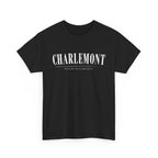 Charlemont T-Shirt — Vintage Collegiate River Town Tee