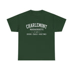Charlemont T-Shirt — Vintage Collegiate River Town Tee