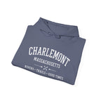 Charlemont-A Few Good Days Unisex Heavy Blend™ Hooded Sweatshirt