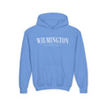 Wilmington Youth Hoodie