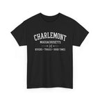Charlemont T-Shirt — Vintage Collegiate River Town Tee