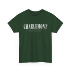 Charlemont T-Shirt — Vintage Collegiate River Town Tee
